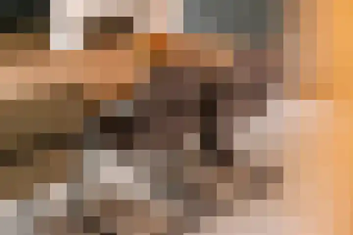 Dorpsplein 8 Maurik thumbnail 96