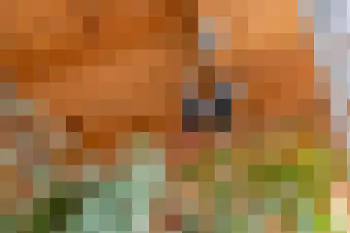 Dorpsplein 8 Maurik thumbnail 99
