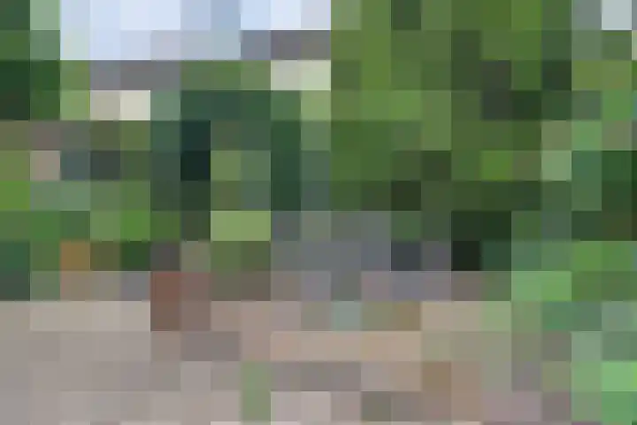 Dorpsplein 9 Weurt thumbnail 23