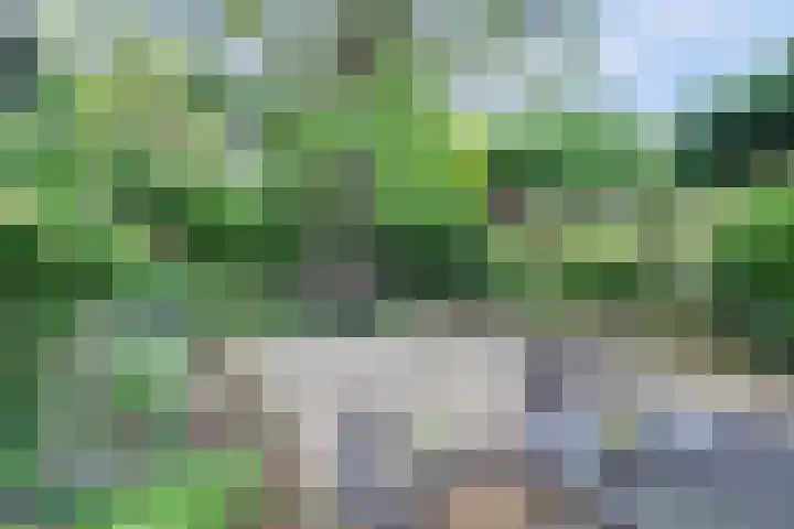 Dorpsplein 9 Weurt thumbnail 24