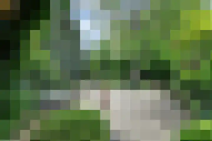 Dorpsplein 9 Weurt thumbnail 25
