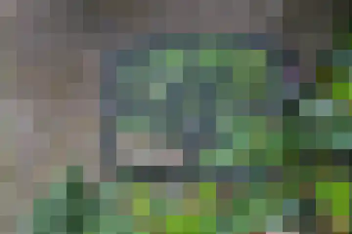 Dorpsplein 9 Weurt thumbnail 26