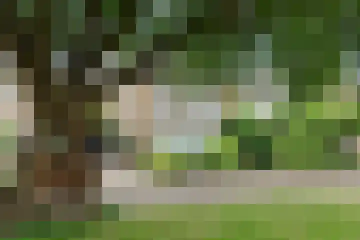 Dorpsplein 9 Weurt thumbnail 5