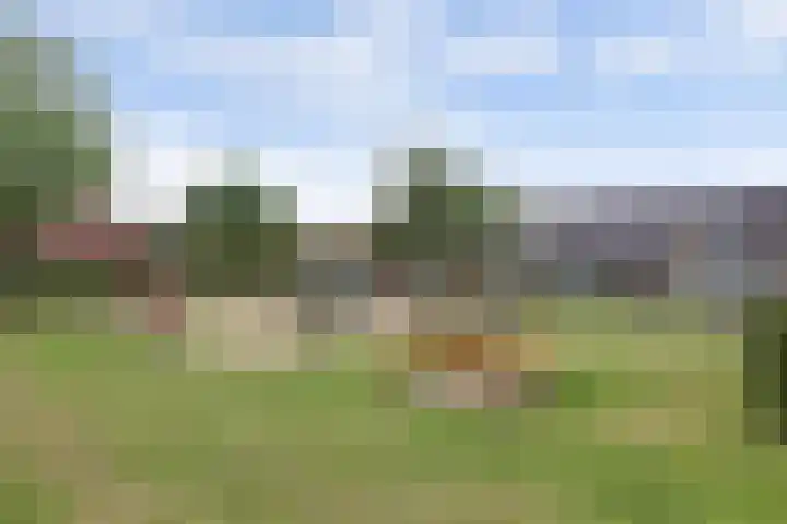 Dorpsplein 9 Weurt thumbnail 51