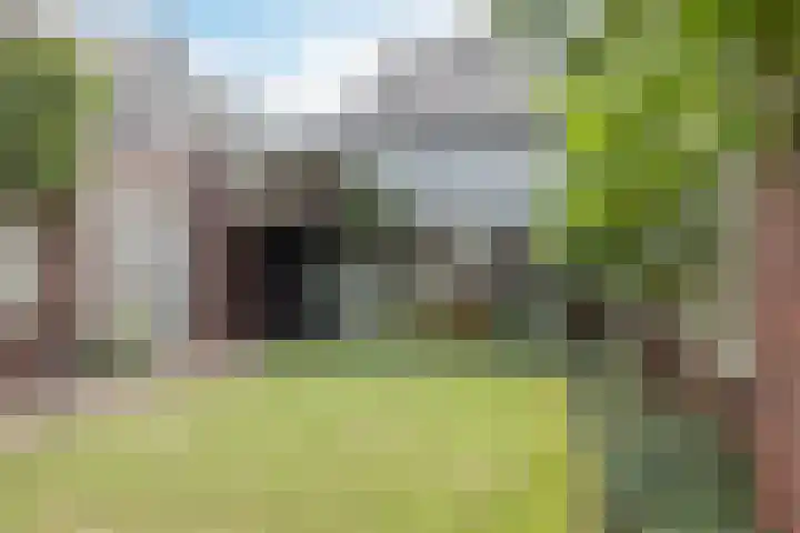 Dorpsrand 38 Vorstenbosch thumbnail 39