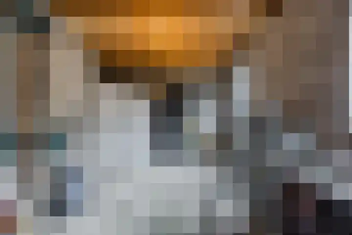Dorpsrand 38 Vorstenbosch thumbnail 41