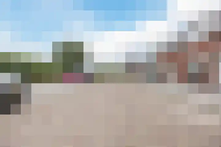 Dorpsrand 38 Vorstenbosch thumbnail 43