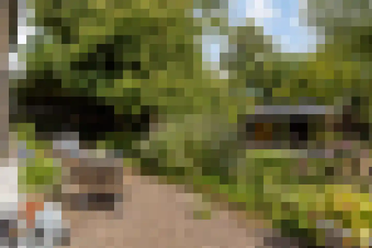 Dorpsring 26 Noordwelle thumbnail 26