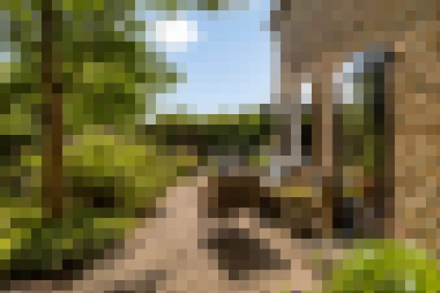 Dorpsring 26 Noordwelle thumbnail 27