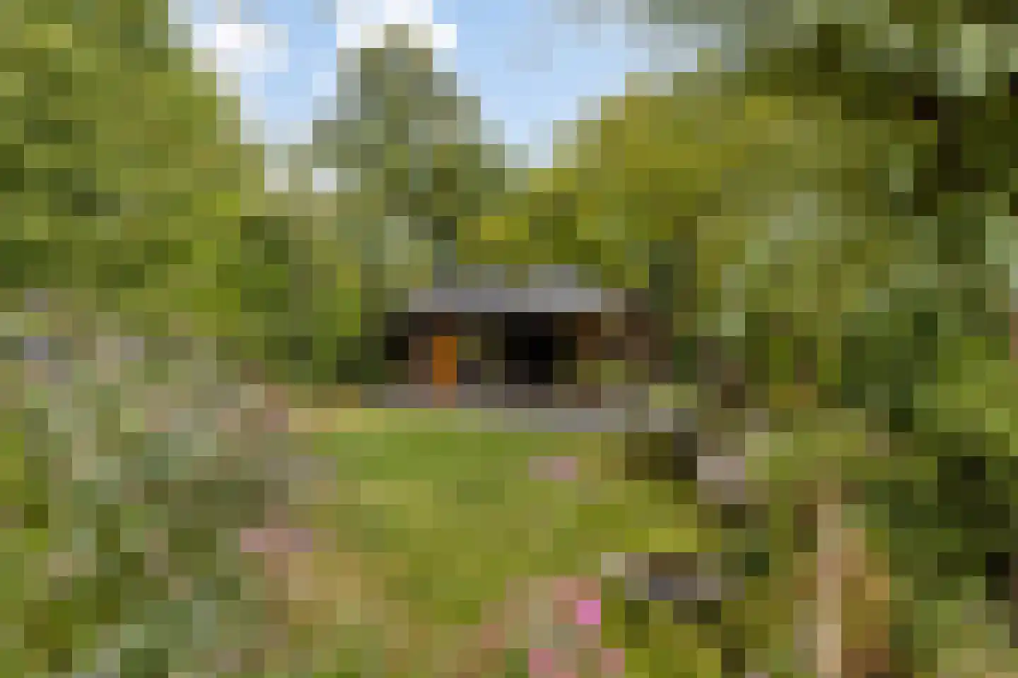 Dorpsring 26 Noordwelle thumbnail 28