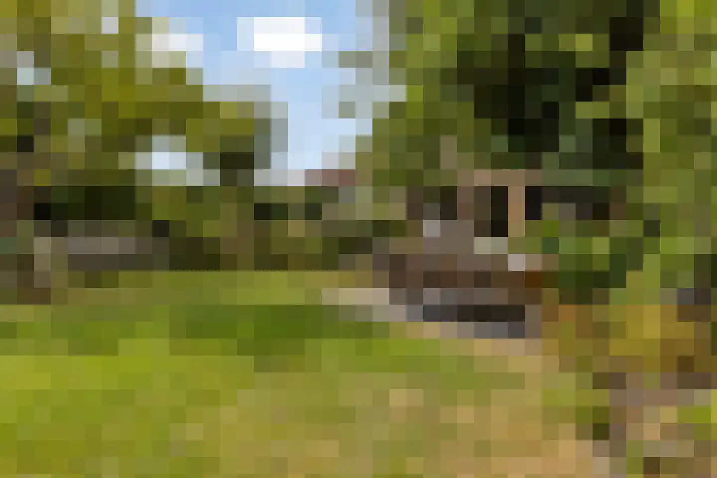 Dorpsring 26 Noordwelle thumbnail 31