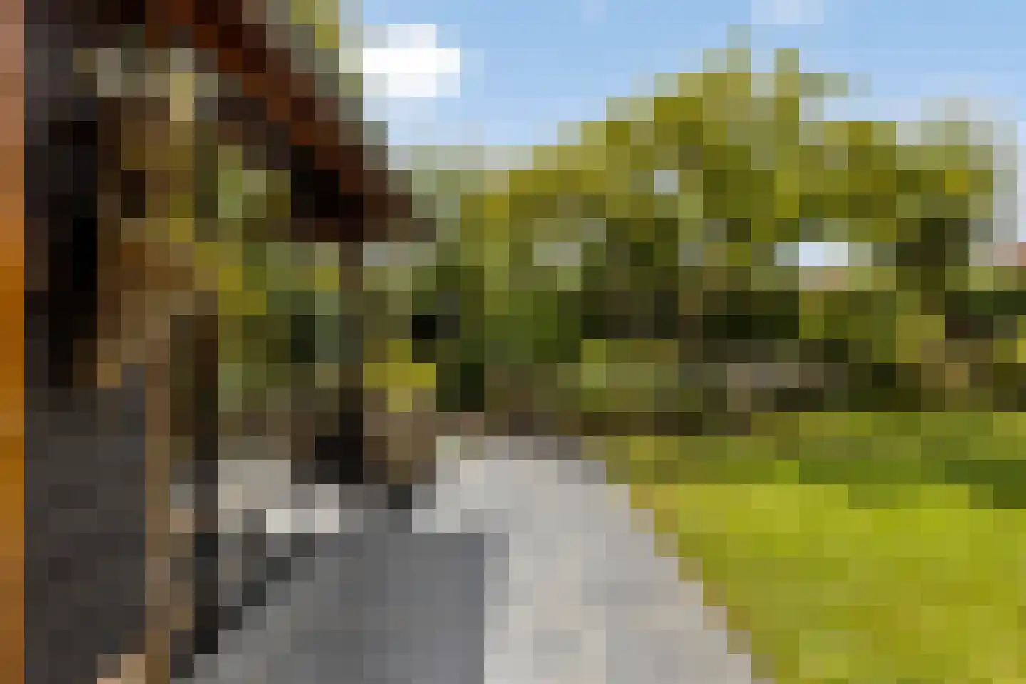 Dorpsring 26 Noordwelle thumbnail 32