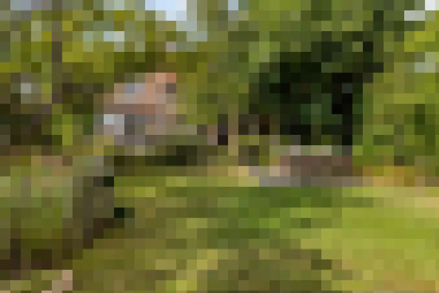 Dorpsring 26 Noordwelle thumbnail 35