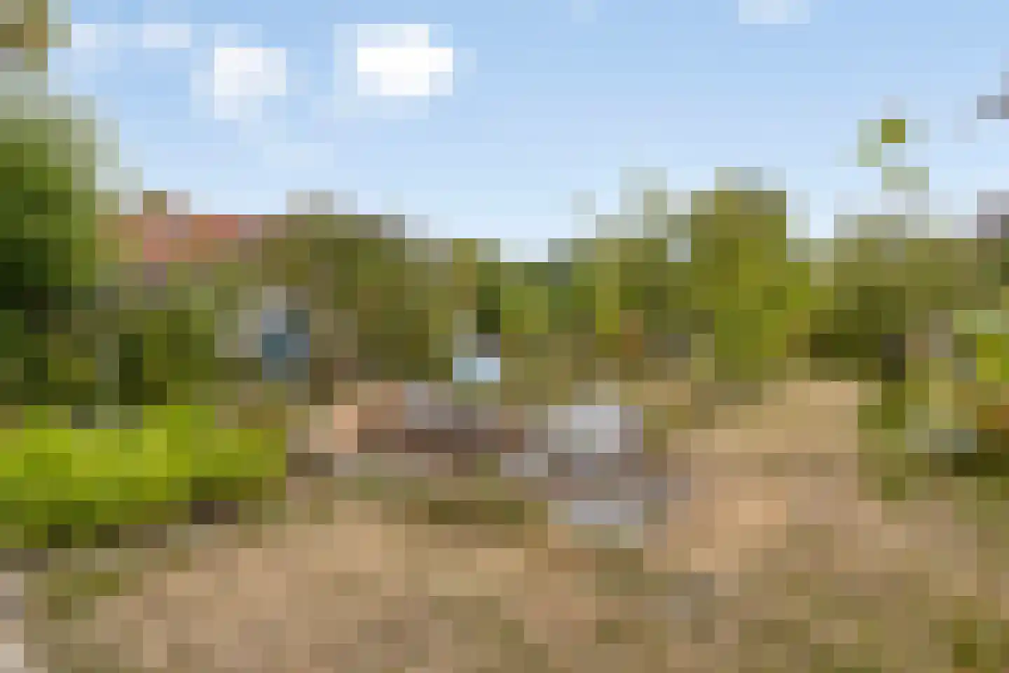 Dorpsring 26 Noordwelle thumbnail 38