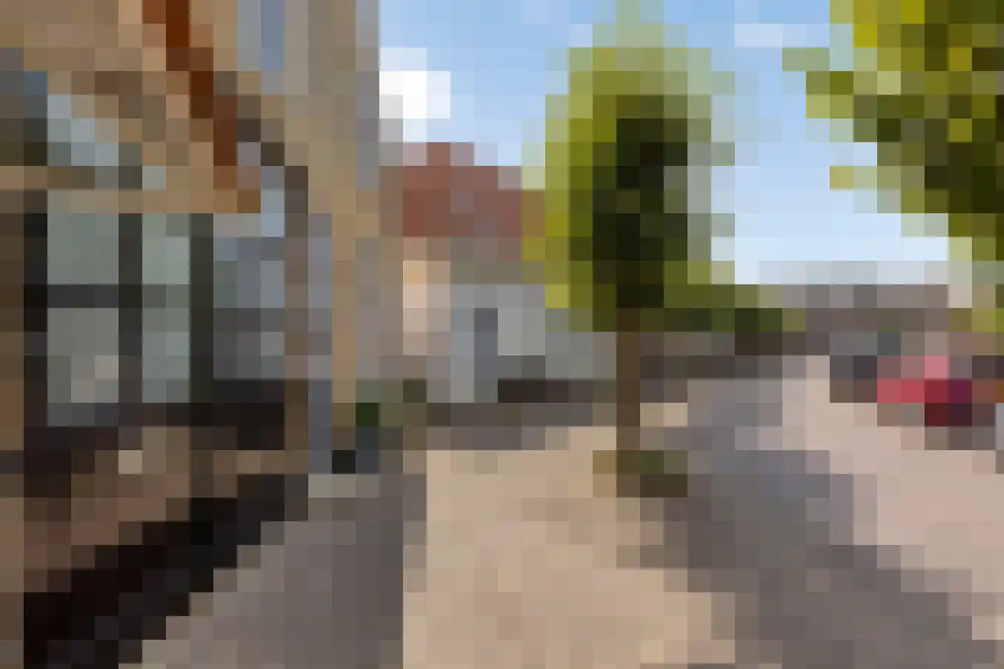 Dorpsring 26 Noordwelle thumbnail 41