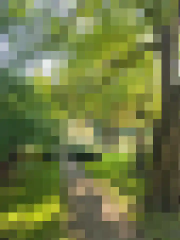 Dorpsstraat 1 a Renswoude thumbnail 36