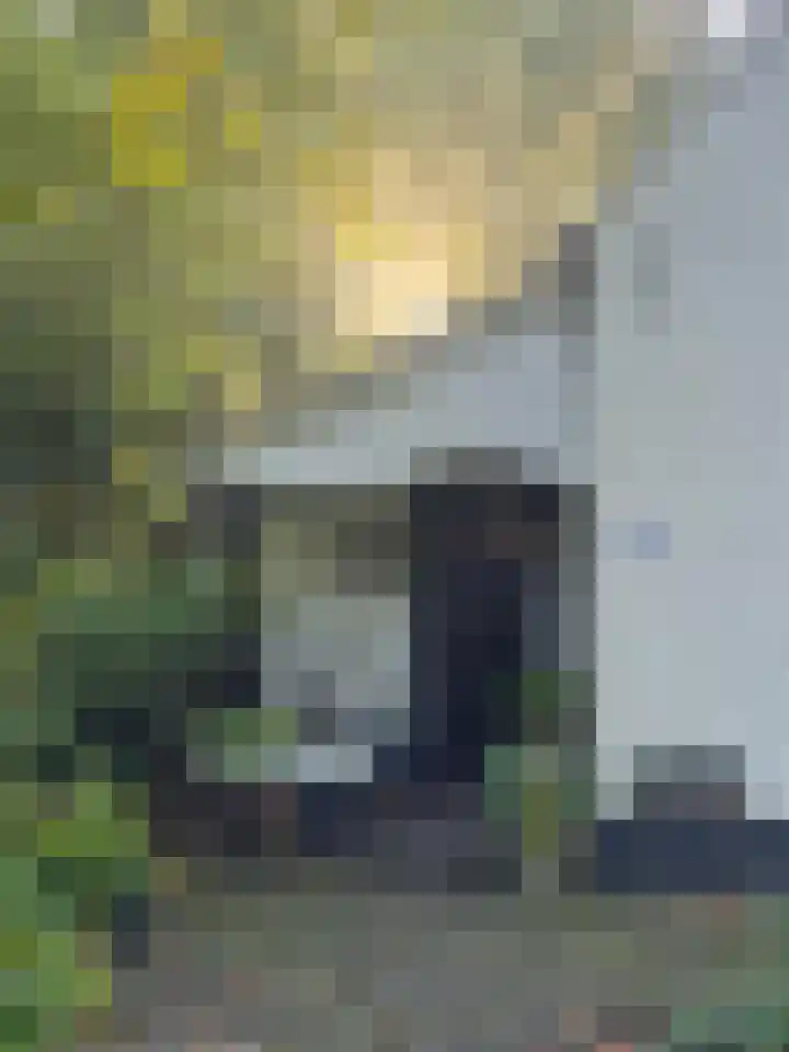 Dorpsstraat 1 a Renswoude thumbnail 6