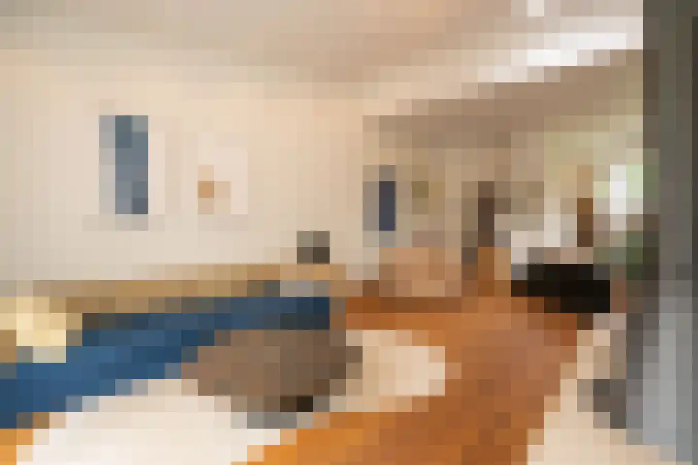 Dorpsstraat 1 A Zoelmond thumbnail 21