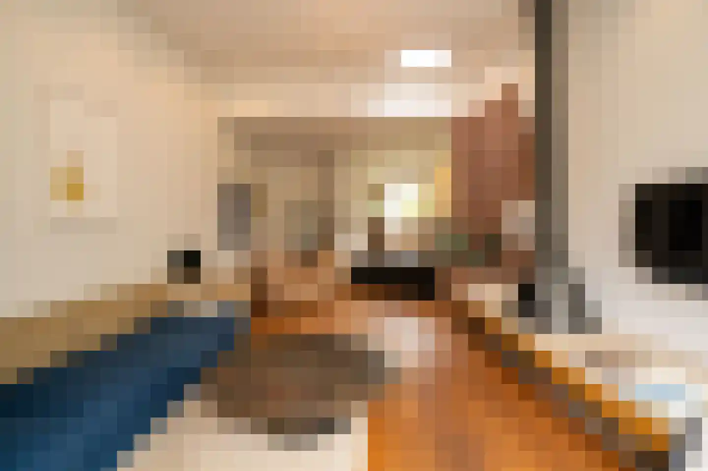 Dorpsstraat 1 A Zoelmond thumbnail 22