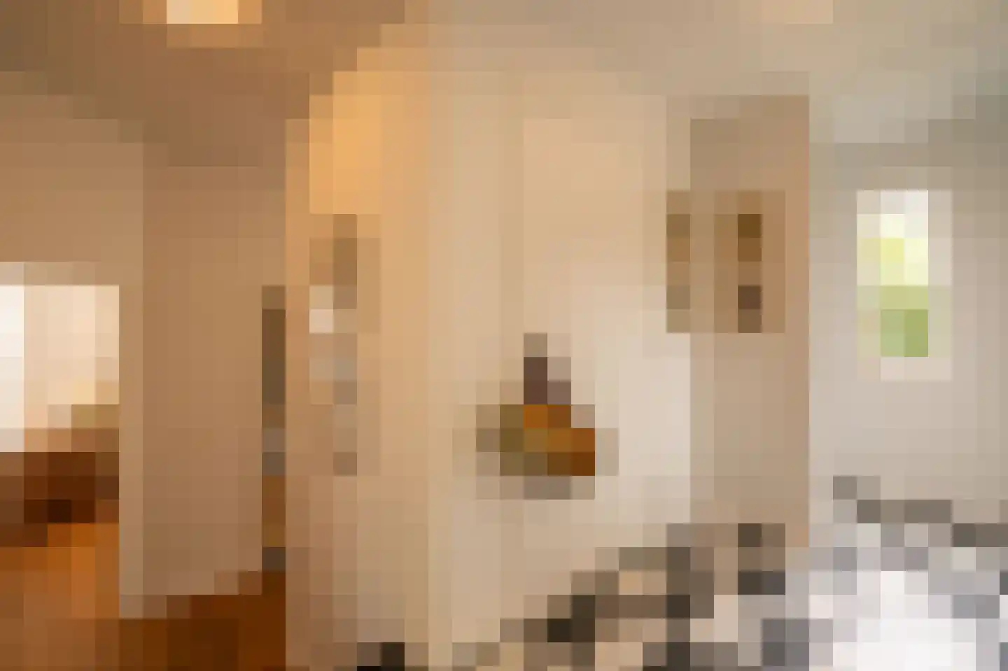 Dorpsstraat 1 A Zoelmond thumbnail 25