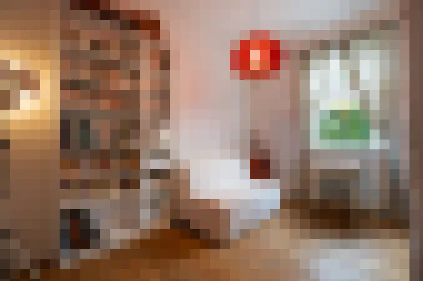 Dorpsstraat 1 A Zoelmond thumbnail 26