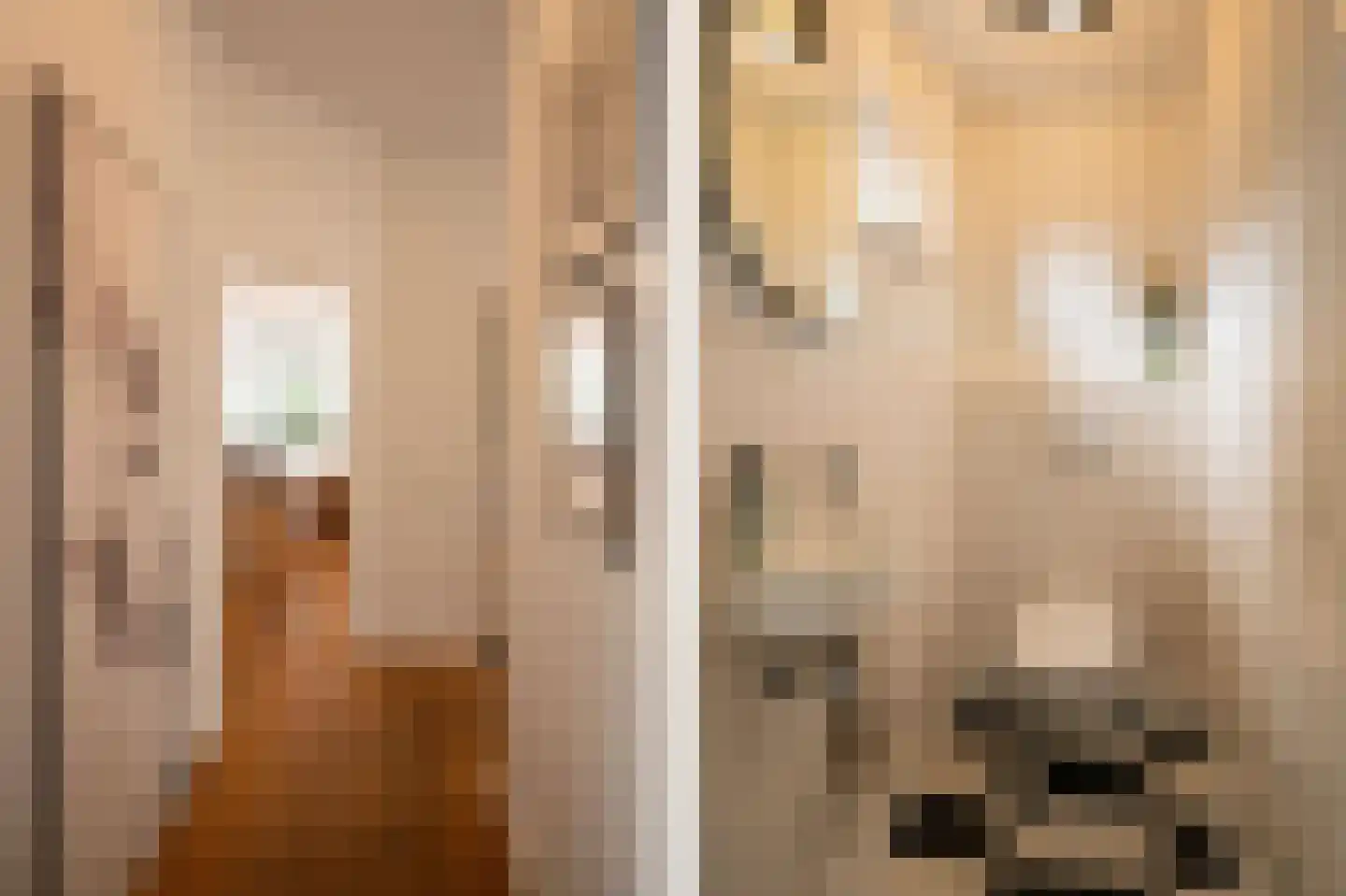 Dorpsstraat 1 A Zoelmond thumbnail 28