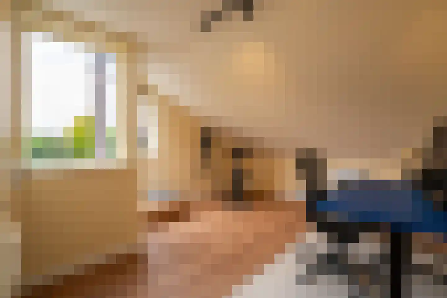 Dorpsstraat 1 A Zoelmond thumbnail 36