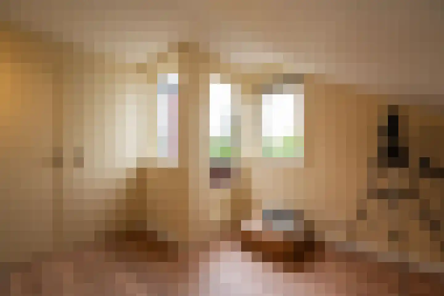 Dorpsstraat 1 A Zoelmond thumbnail 37
