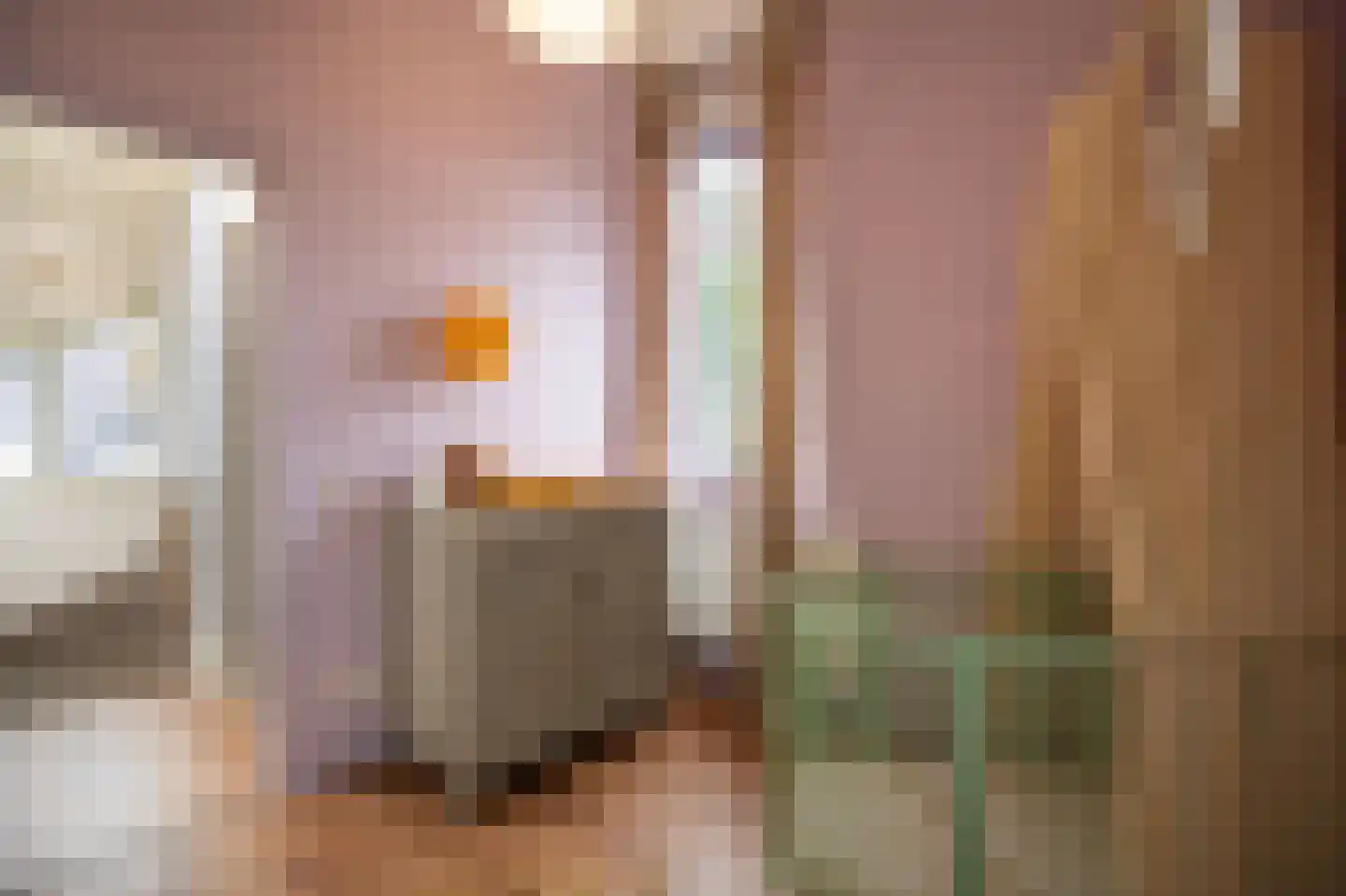 Dorpsstraat 1 A Zoelmond thumbnail 39