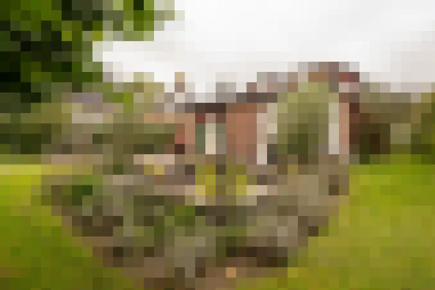 Dorpsstraat 1 A Zoelmond thumbnail 43