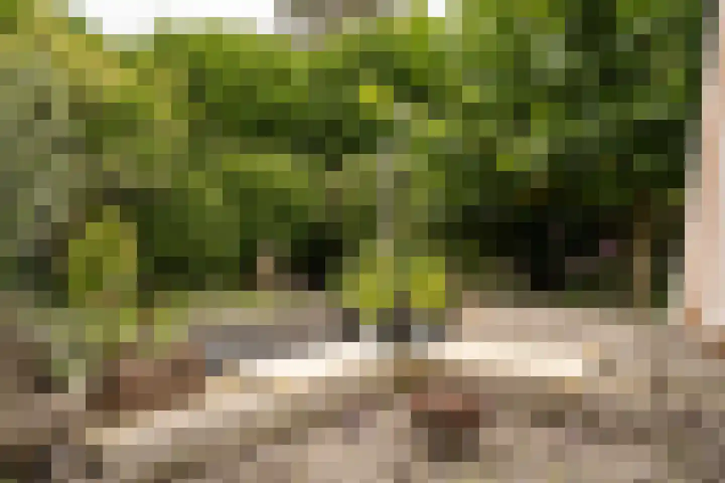 Dorpsstraat 1 A Zoelmond thumbnail 44