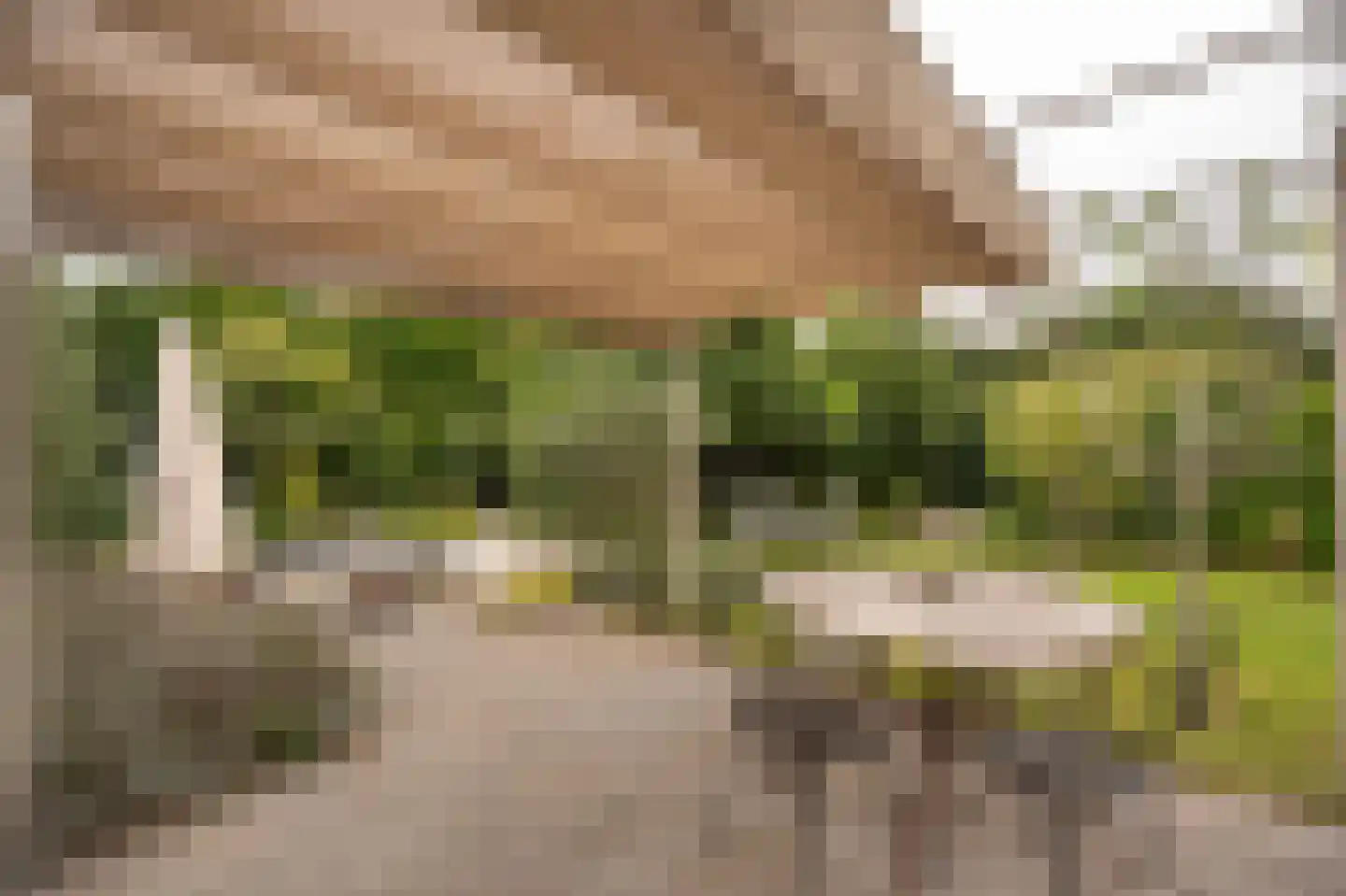 Dorpsstraat 1 A Zoelmond thumbnail 45