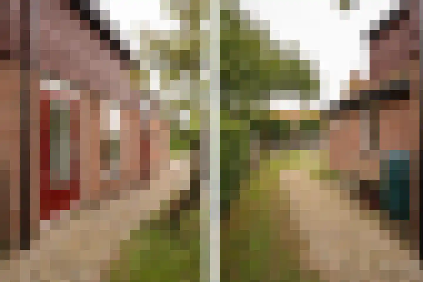 Dorpsstraat 1 A Zoelmond thumbnail 49