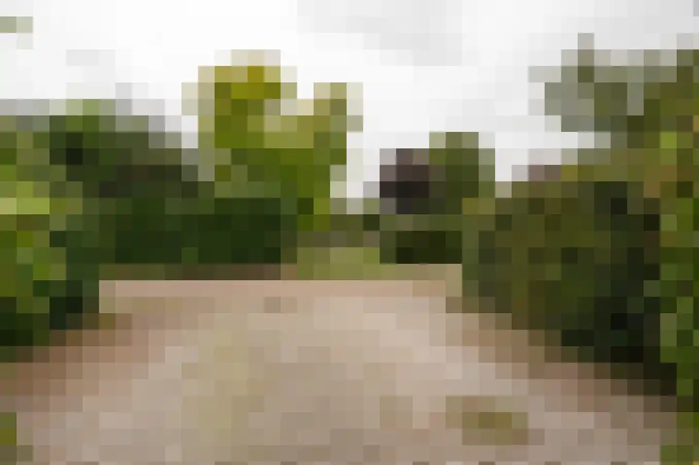 Dorpsstraat 1 A Zoelmond thumbnail 51