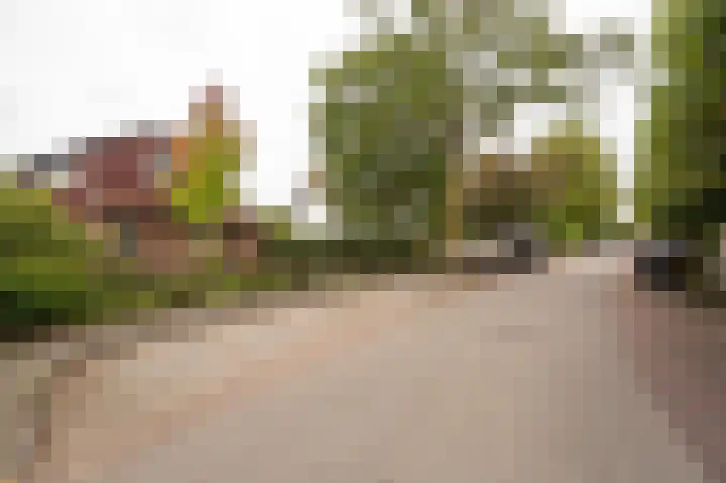 Dorpsstraat 1 A Zoelmond thumbnail 58