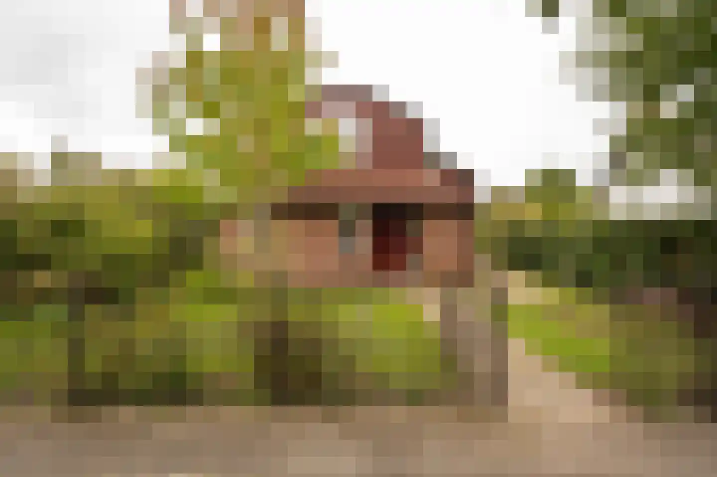 Dorpsstraat 1 A Zoelmond thumbnail 6