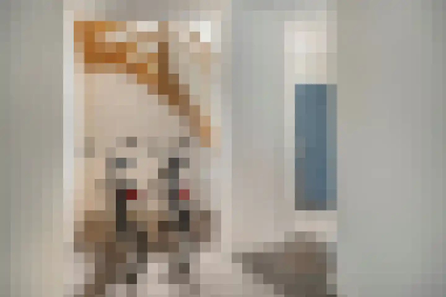 Dorpsstraat 1 b Budel thumbnail 12