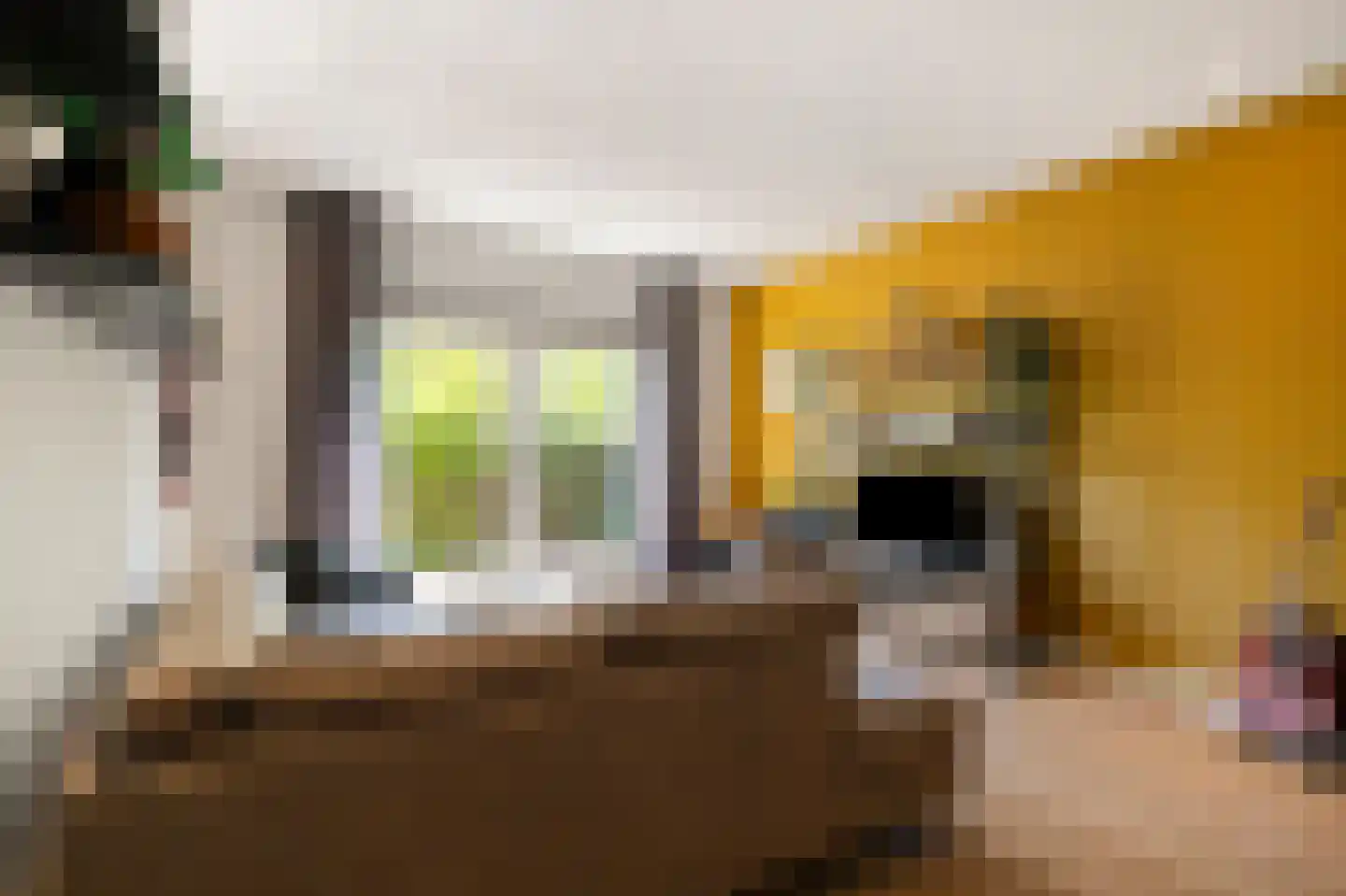 Dorpsstraat 1 B Dirkshorn thumbnail 11
