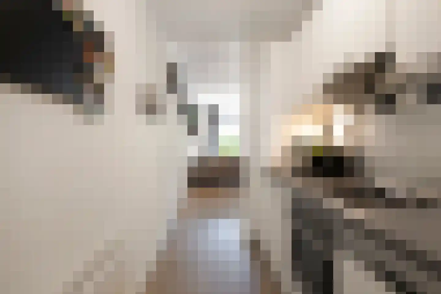 Dorpsstraat 1 B Dirkshorn thumbnail 17