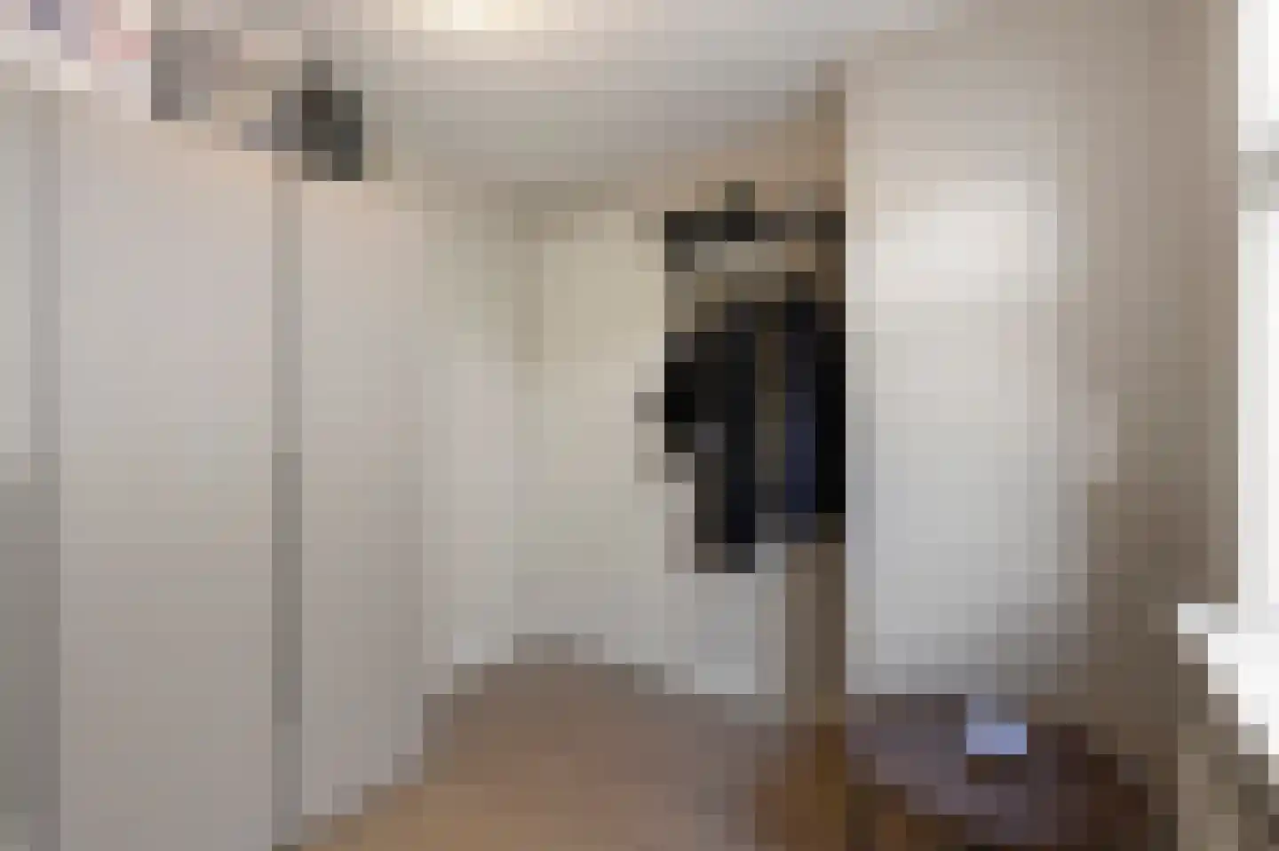 Dorpsstraat 1 B Dirkshorn thumbnail 20