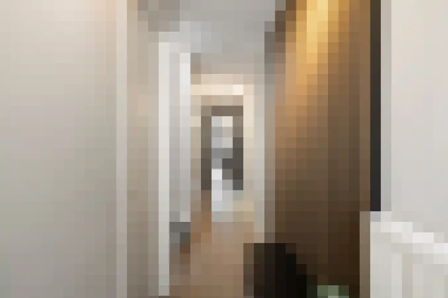 Dorpsstraat 1 B Dirkshorn thumbnail 9