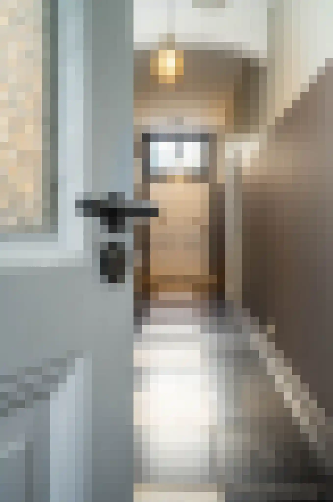 Dorpsstraat 1 Bakel thumbnail 10