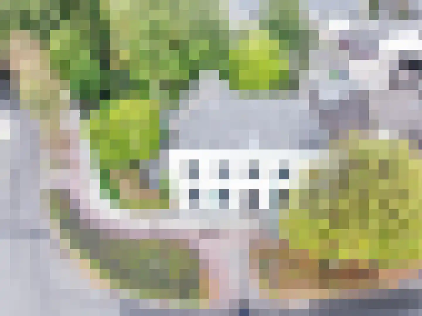 Dorpsstraat 1 Bakel thumbnail 100