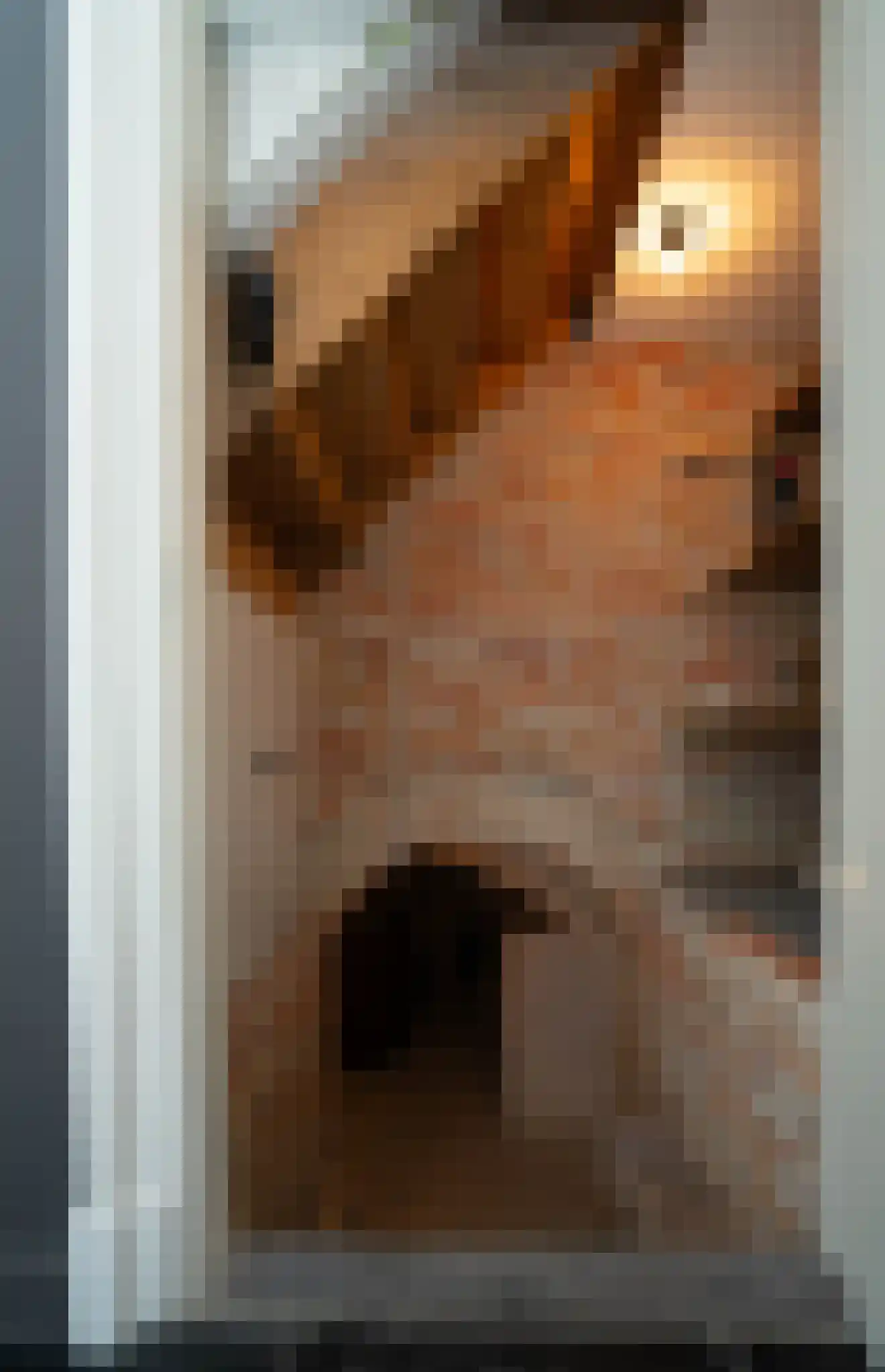 Dorpsstraat 1 Bakel thumbnail 50