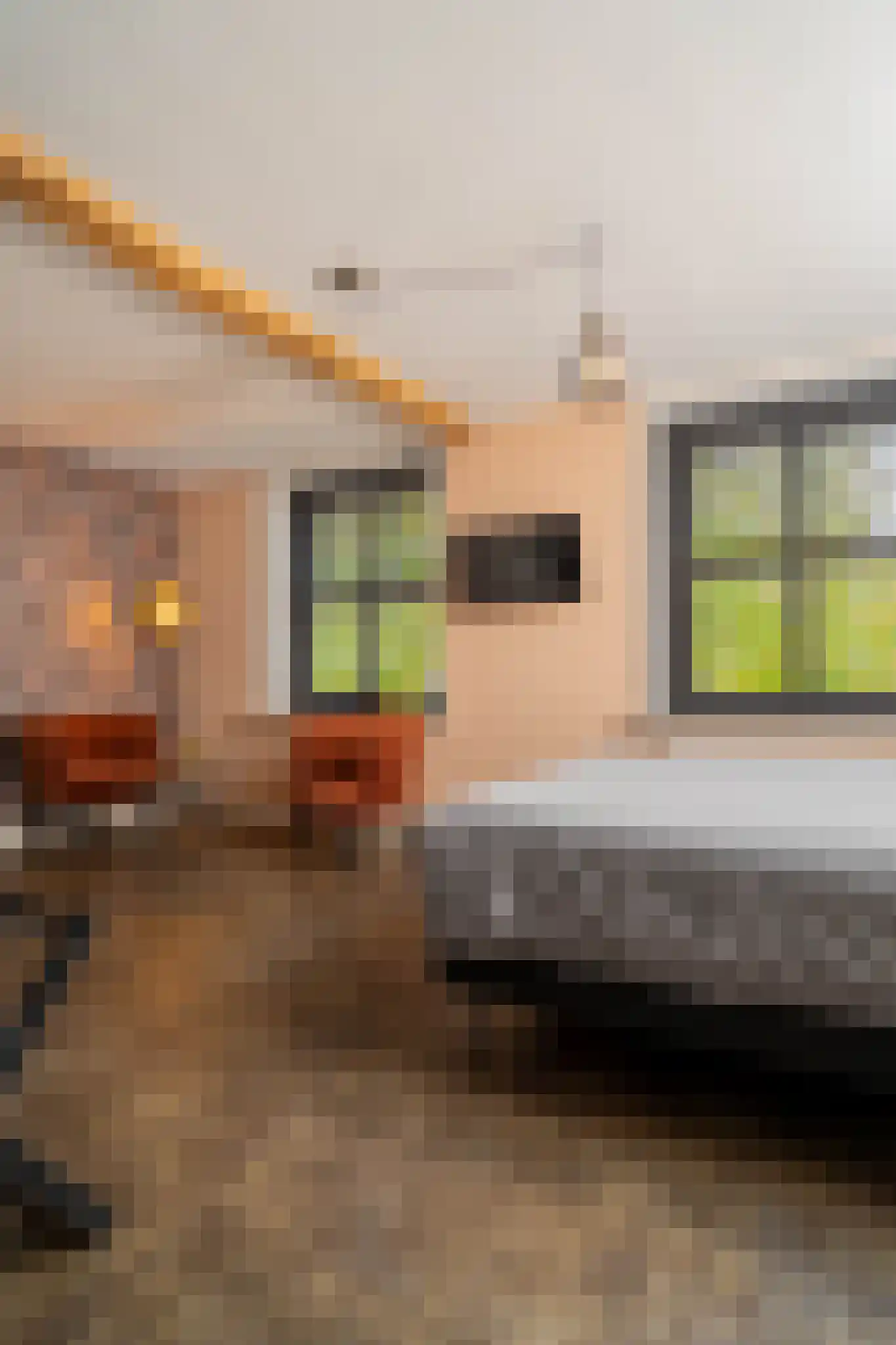 Dorpsstraat 1 Bakel thumbnail 58