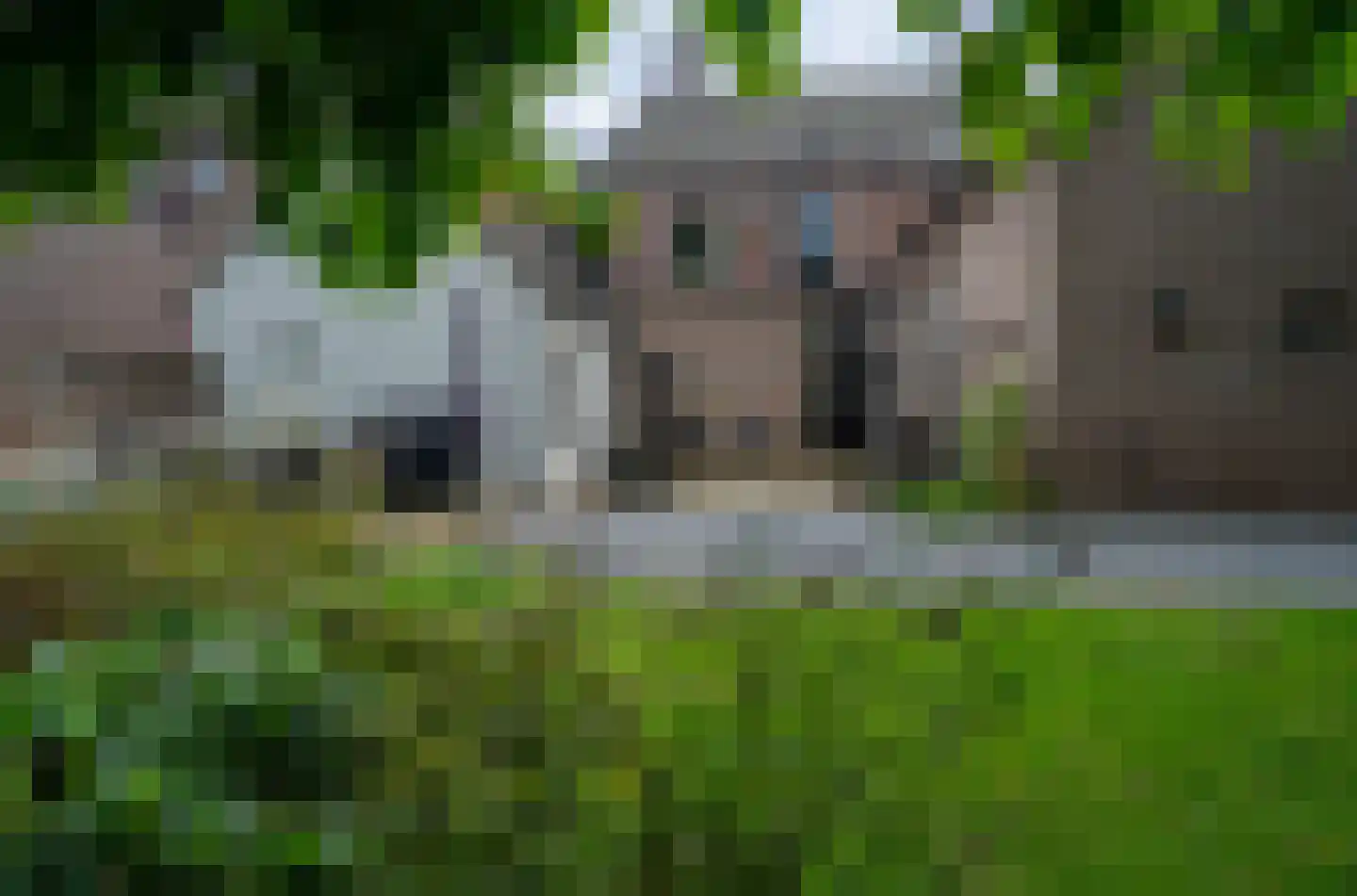 Dorpsstraat 1 Bakel thumbnail 86