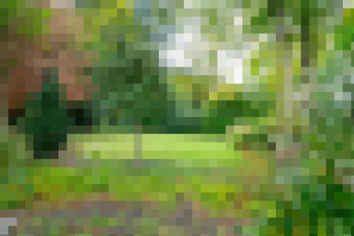 Dorpsstraat 1 Bakel thumbnail 92