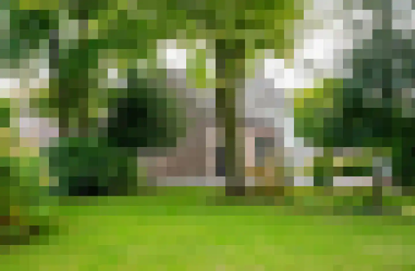 Dorpsstraat 1 Bakel thumbnail 95