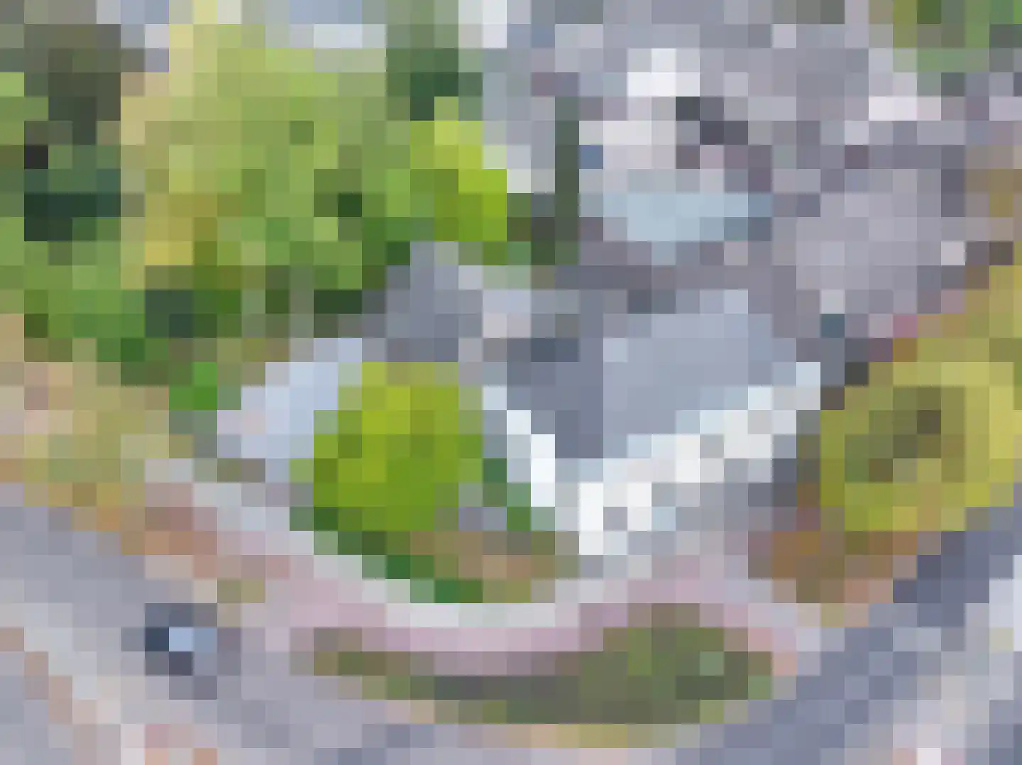 Dorpsstraat 1 Bakel thumbnail 99