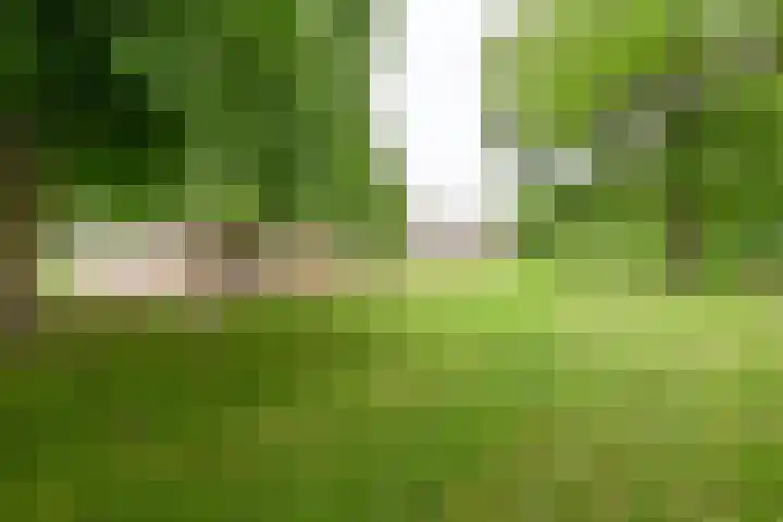 Dorpsstraat 1 Bronnegerveen thumbnail 10